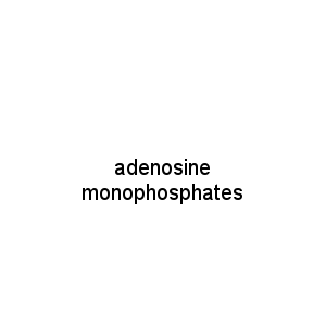 adenosine monophosphates